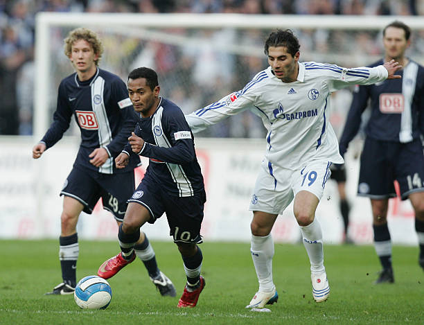 都在关注他 都在关注他